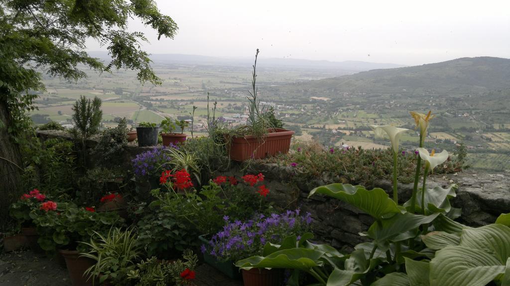 Casa Mia A Cortona Leilighet Rom bilde